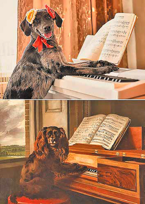 Портрет необычной музыкальной собаки Филиппа Рейнагла. Модель - собака по кличке Сказка  (питомец Александры Кирсановой).