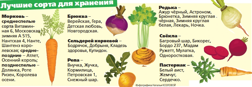 овощи