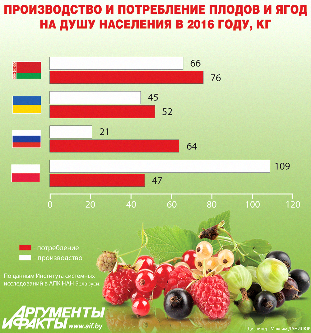 Инфографика. Производство и потребление плодов и ягод.