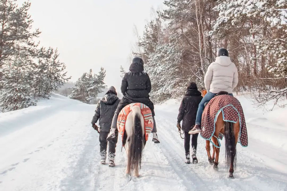 «Лошади «разговаривают» с людьми взглядом, движениями, звуками…»